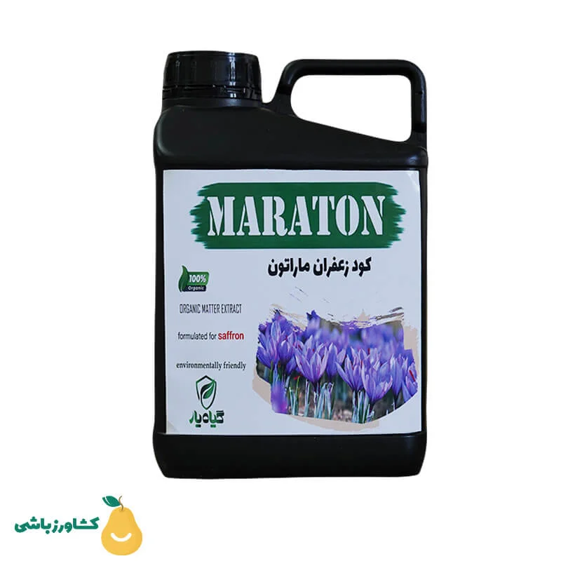 خطا در بارگذاری تصویر