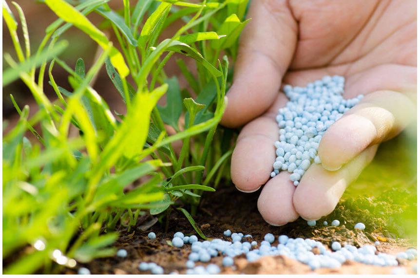 خطا در بارگذاری تصویر